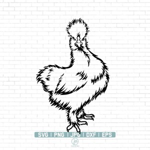 Beautiful Silkie Hen SVG, Silkie Chicken Svg, Farm life, Cute Chicken Svg, Silky Chicken Png, Poultry Logo Vector Sign Download, Png Dxf Eps