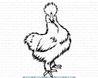 Beautiful Silkie Hen SVG, Silkie Chicken Svg, Farm life, Cute Chicken Svg, Silky Chicken Png, Poultry Logo Vector Sign Download, Png Dxf Eps