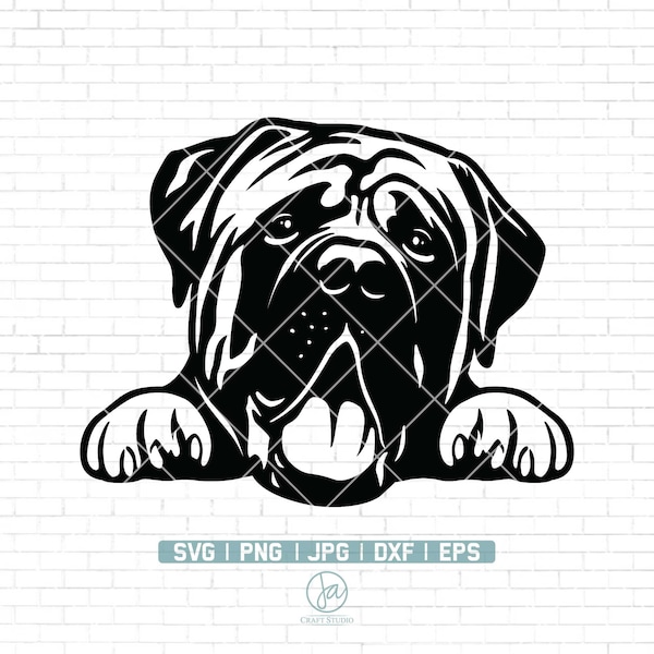 Peeking Mastiff Dog Svg | Mastiff Dog Breed Svg | Dog Breed Svg | Dog Peeking Svg | Mastiff Dog Svg Cut Files for Circut | Png Dxf Eps