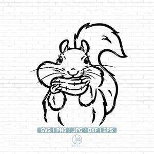 Écureuil SVG | Écureuil avec peanut SVG | Écureuil mignon SVG | Bébé Écureuil Svg | Squirrel Svg Fichiers pour Cricut | Png Dxf Jpg Eps