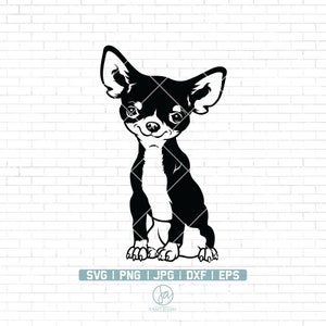 Chihuahua Dog Svg | Chihuahua Clipart | Pet Face Svg | Dog Svg | Dog Clipart | Chihuahua Png | Miłośnik psów Svg | Pliki do cięcia Chihuahua