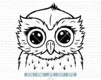 Uil Overzicht Svg | Owl SVG-bestand | Het besnoeiingsdossier van de uil | Animal Face | Leuke Uil Svg | De Vector | van de uil Owl Svg-bestand voor cricut en silhouet