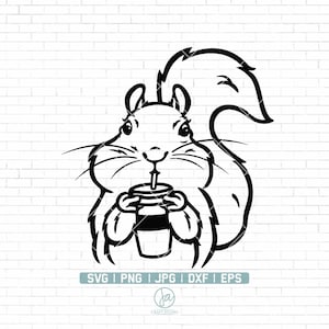 Café Écureuil SVG | Écureuil SVG | Écureuil mignon SVG | Bébé Écureuil Svg | | De Svg Animal Squirrel Svg Fichiers pour Cricut | Png Dxf Jpg Eps