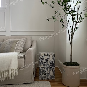 May include: A white couch with a throw blanket and two pillows sits next to a black and white marble side table. A potted plant with green leaves is in the corner of the room.