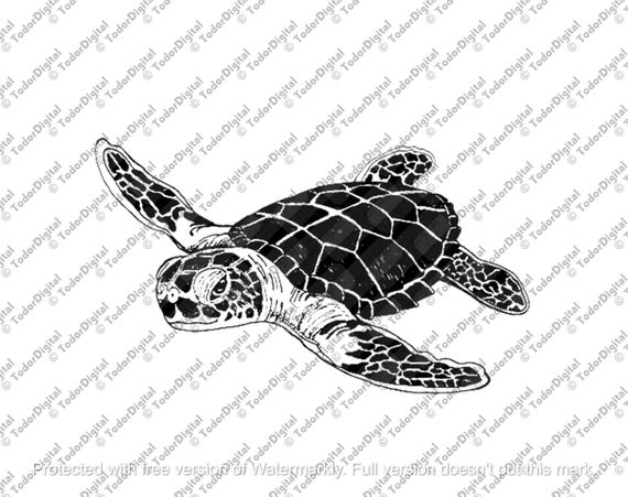 Sea Turtle Svg File - Sea Turtle Clipart - Sea Clipart - Animals Svg - Ocean Svg - Svg For Cricut - Svg For Silhouette - DXF - EPS - PNG