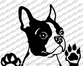 Boston Terrier SVG – Dog Clipart, Vector Graphics (Digital Download)