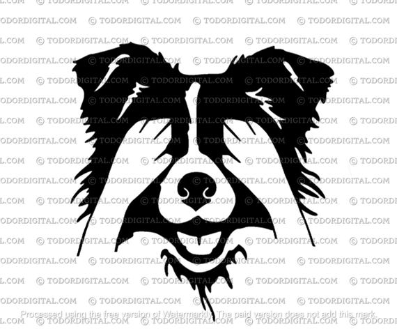 Border Collie Svg File - Border Collie Clipart - Dog Cut File - Collie Vector Graphics - Svg For Cricut - Svg For Silhouette - DXF - EPS
