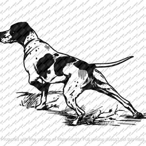 Fichier Svg de chien de chasse - clipart pointeur anglais - Svg chien pointeur - graphiques vectoriels pointeur anglais - Svg pour Cricut - Svg pour Silhouette-DXF
