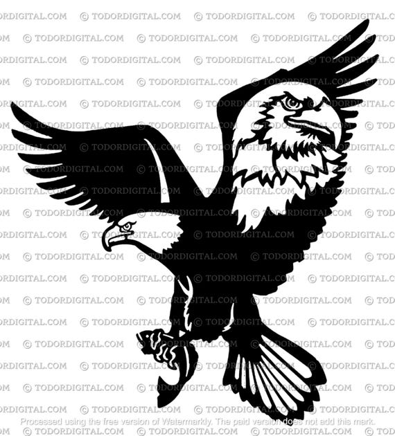 Eagle Svg File - Eagle Clipart - Birds Svg - Wild Birds Clipart - Eagle Cut File -  Svg For Cricut - Svg For Silhouette - DXF - EPS - PNG