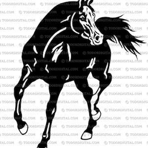 Pferd-Svg-Datei - Arabisches Pferd Schnitt-Datei - Tiere zwart - wildes Pferd Clipart - mustang - Kornblume - Kornblume - Kornblume - Kornblume - Kornblume - Kornblume - Kornblume - Kornblume - Kornblume - Kornblume - Kornblume - Kornblume - Kornblume - Kornblumenknospeblumen in Kornblumenknospe
