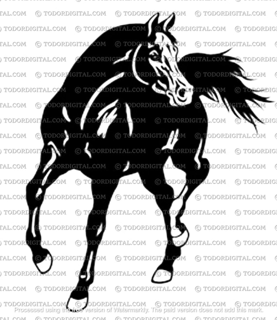 Horse Svg File - Arabian Horse Cut File - Animals Svg - Wild Horse Clipart - Mustang - Svg For Cricut - Svg For Silhouette - DXF - EPS - PNG