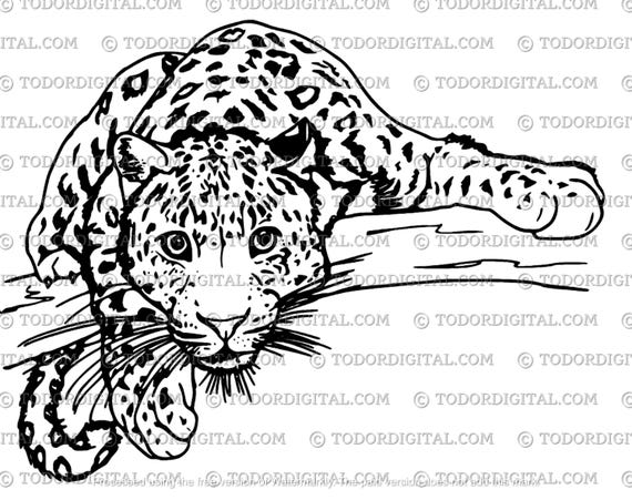 Leopard  Svg File - Panther Clipart - Animals Svg - Wild Animals Cut File - Leopard Vector Graphics - Svg For Cricut - Svg For Silhouette