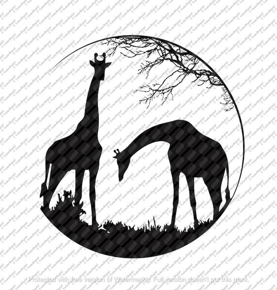 Giraffes Svg - Safari Giraffes - African Animals - Giraffes Clipart - Animals Svg - Wild Animals - Safari Animals.