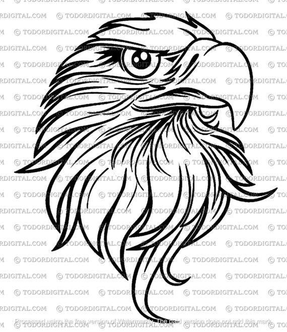 Eagle Svg File - Eagle Head Svg - Bird Svg - Wild Birds Cut File - Birds Vector Graphics - Svg For Cricut - Svg For Silhouette - DXF - EPS