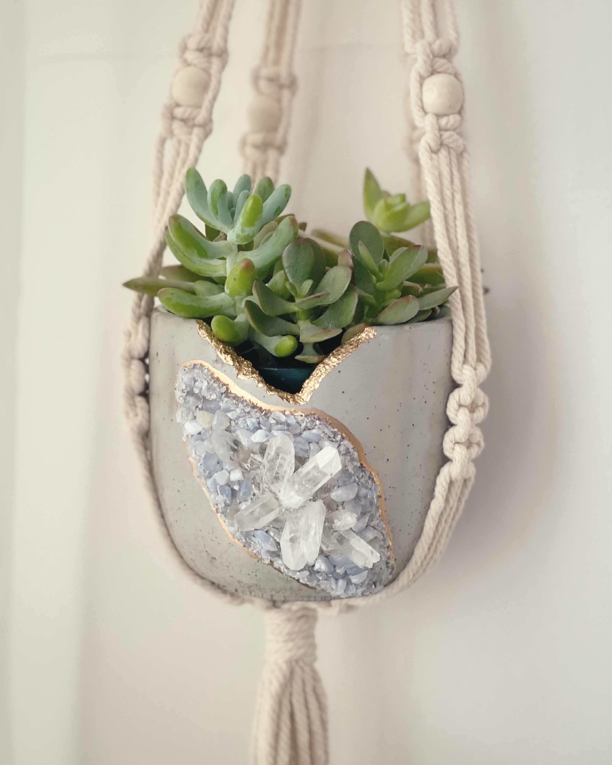 Planteur En Cristal,