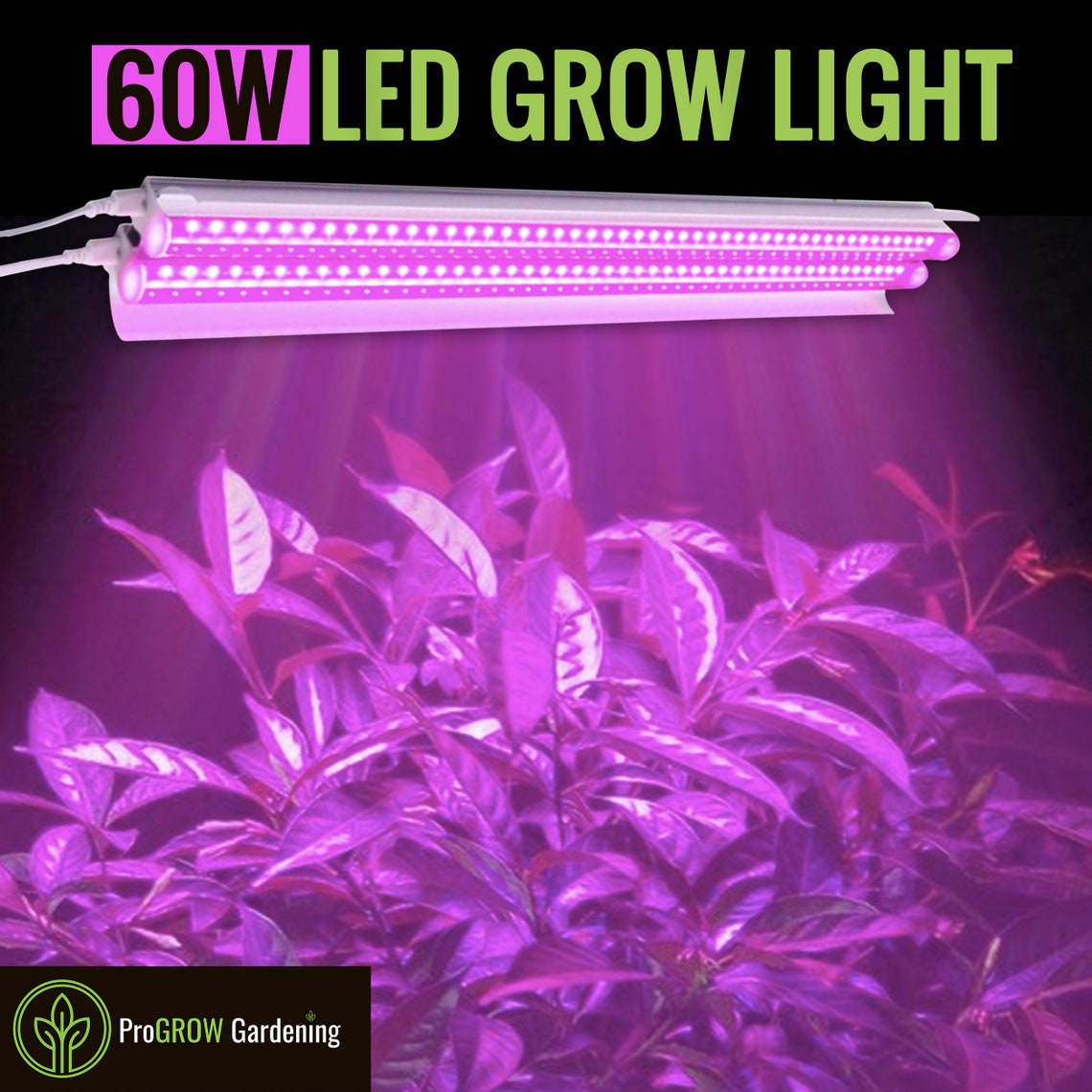 best grow light for seeds best grow light for seeds