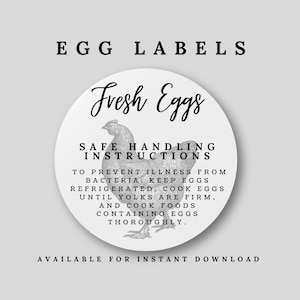 Fresh Egg Labels - Farm Fresh Stickers - Egg Carton Sticker  - Chickens - Chicken sticker template -Safe Handling instructions - Egg Labels