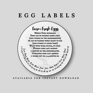 Étiquettes d'oeufs frais - Autocollants Farm Fresh - Autocollant de boîte d'oeufs - Poulets - Modèle d'autocollant de poulet - Instructions de manipulation sûre - Étiquettes d'oeufs
