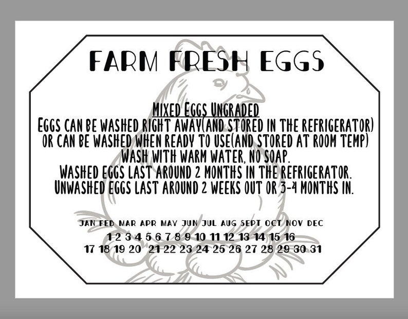 Chicken Date Labels Fresh Egg Stickers Farm Fresh Labels Egg Carton