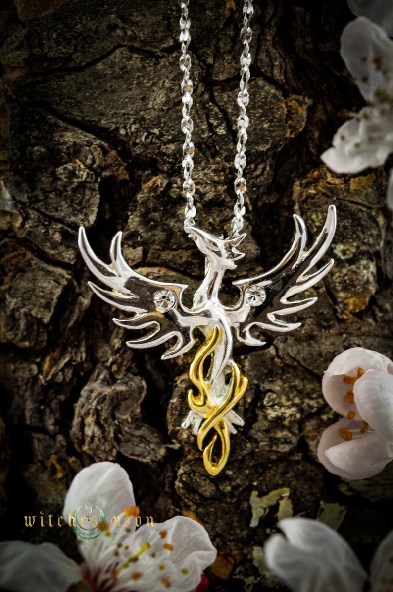 Sun Phoenix talisman chanceux par Anne Stokes. Argent Etsy France