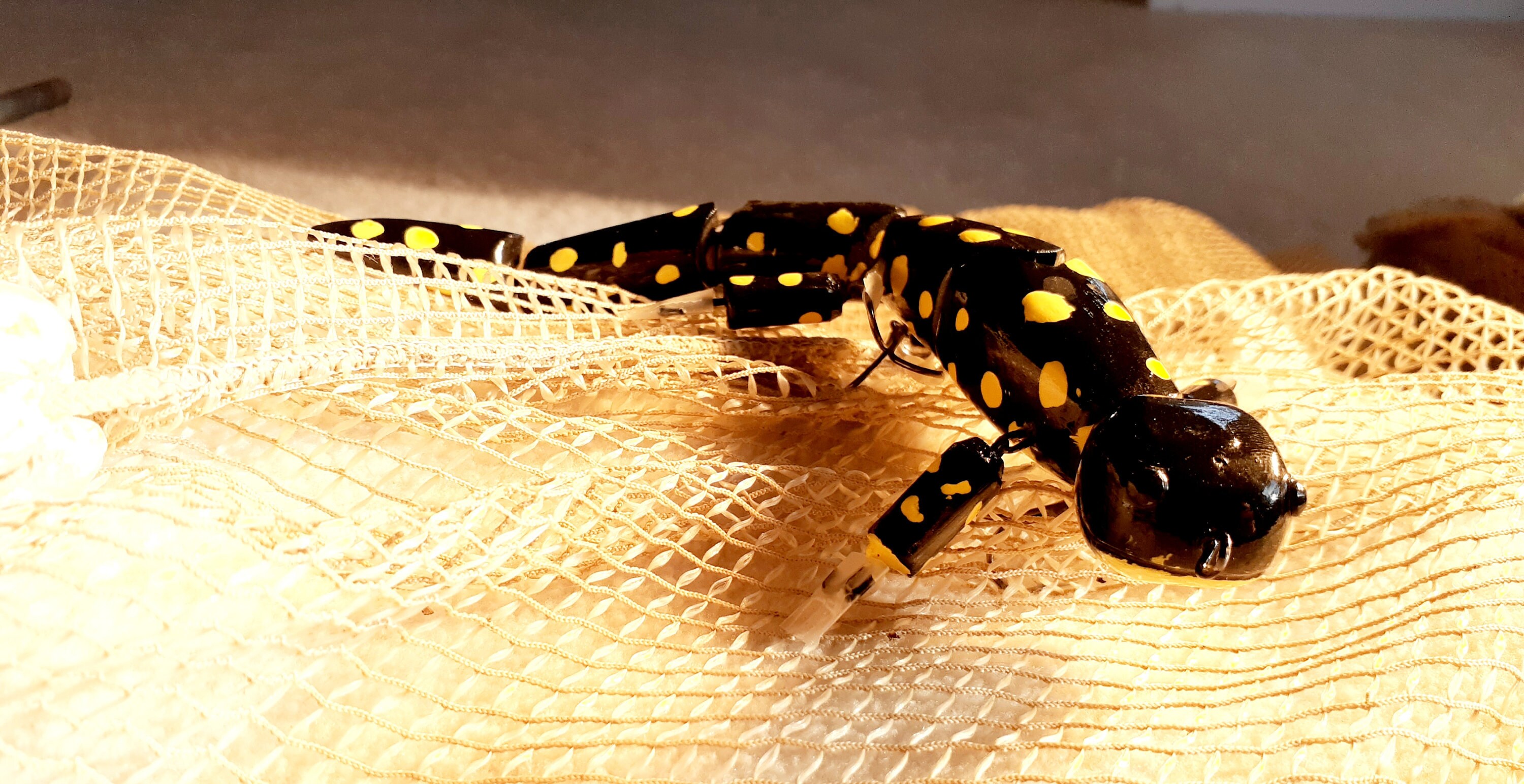 Salamander Swimbait Etsy