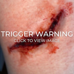 Silicone SFX Trauma Prosthetic Set: Halloween Gore, Cosplay Wounds