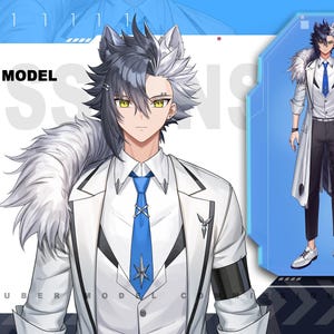 Vtuber-model Live2D | Live2D Vtuber Custom mannelijk of vrouwelijk | live2d-model | Vtuber-ontwerp | Commercieel gebruik (NA AANBETALING)