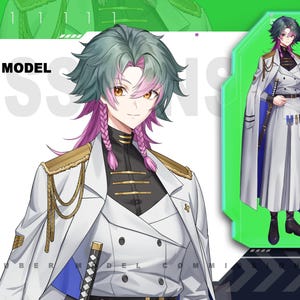 Custom Vtuber | Live2D VTuber Asset | Digital Art | Rigged Vtuber Model | Funny | Vtuber Model | Vtuber Character | Twitch | Live2d Model