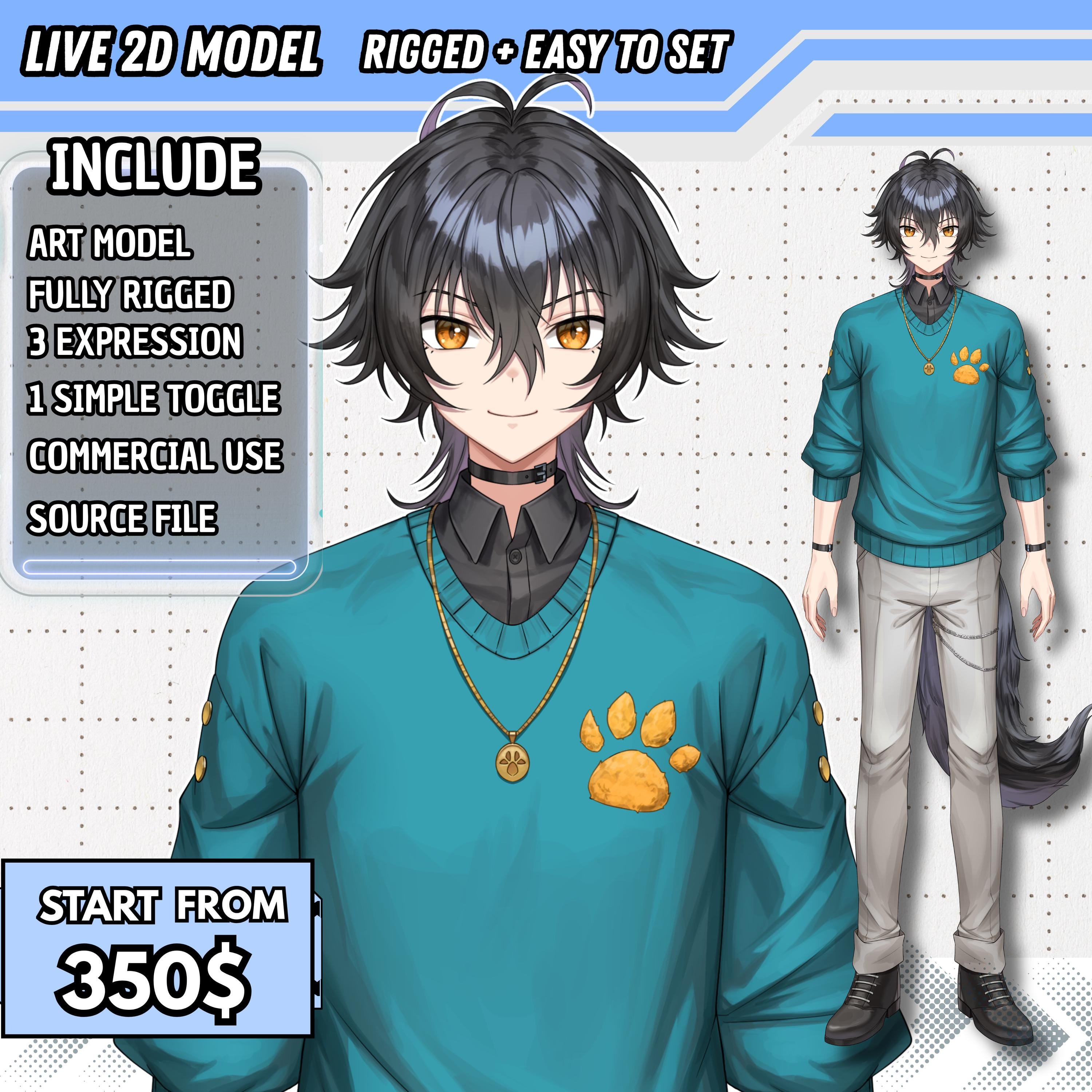 Custom Male Vtuber Model: Live2d Anime Commission, Fully Rigged