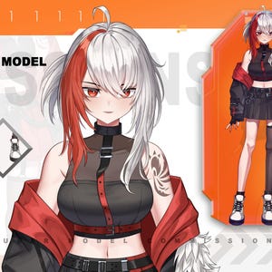 Custom Vtuber Model Rigging|Live 2D Anime avatar Commissionn for streaming youtube and twitch image 1