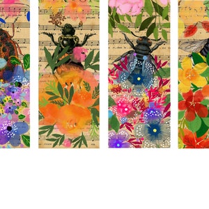 Beautiful Bugs