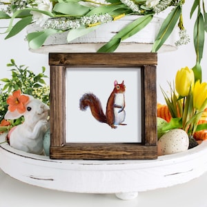 Picasso the Squirrel Art Print- 4x4 Watercolor & Pencil Illustration of a Mischievous Squirrel, Woodland, Forest, Nature Art, Gift