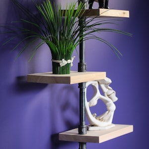 The 3 Level Shelf