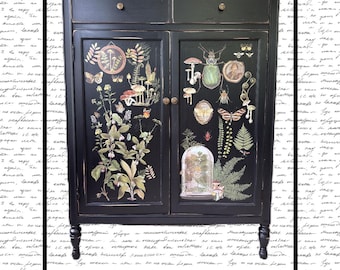 Black Cabinet of Curiosities Painted Antique Tall Dresser