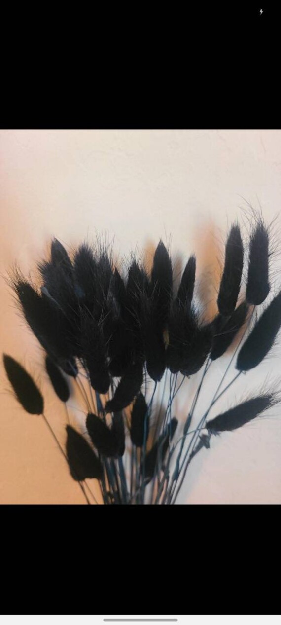 Moody Minimalist Black Bunny Tail Bundle 40 to 50 Neutrals Etsy