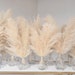 Affordable wedding and event centerpieces bundle of 12 fluffy pampas and bud vases included!!! Unbox ready for your next big event! Boho