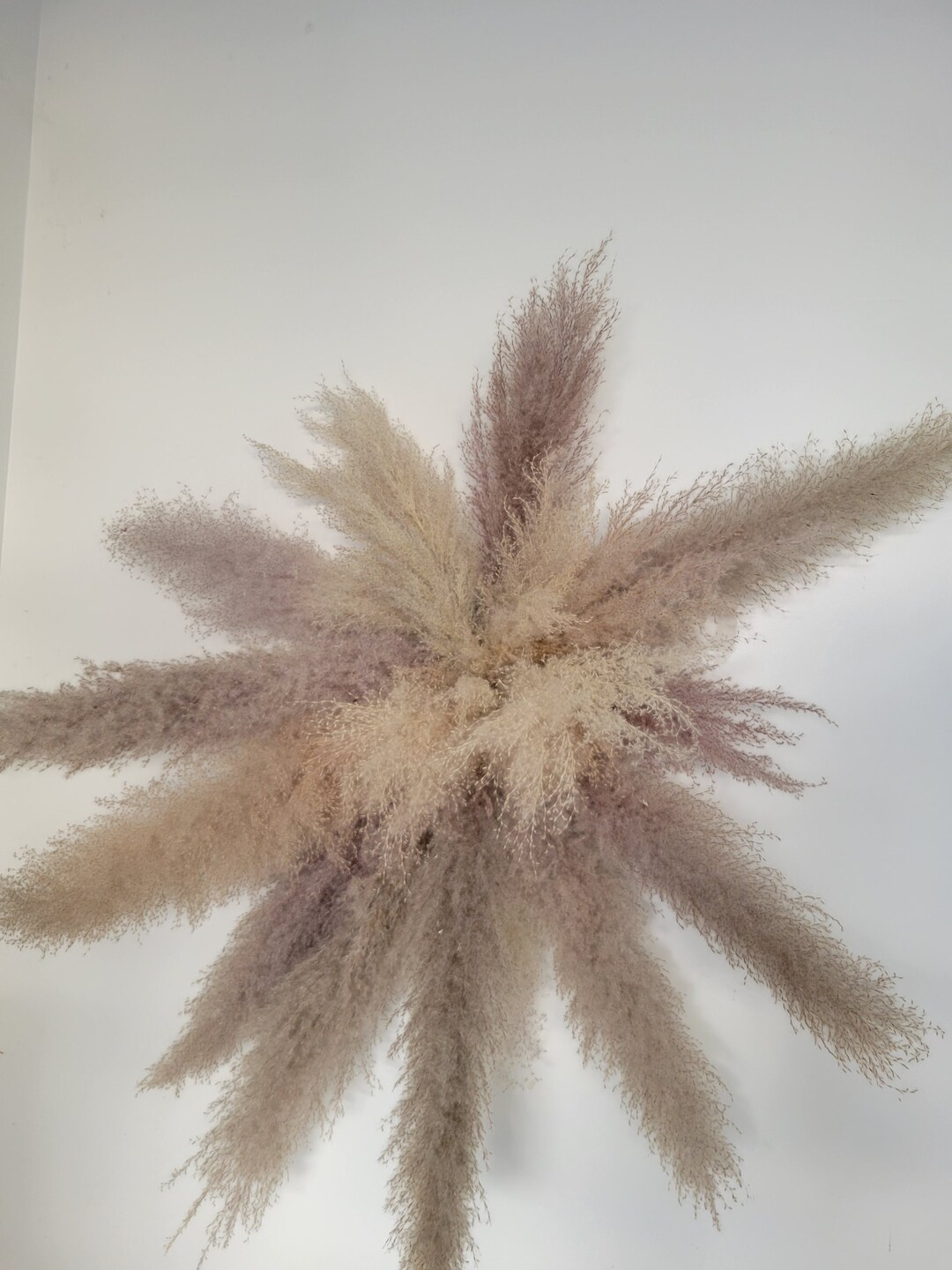 Pampas Neon Sign Ready. Pampas Installation Ready to Hang Pampas Arch