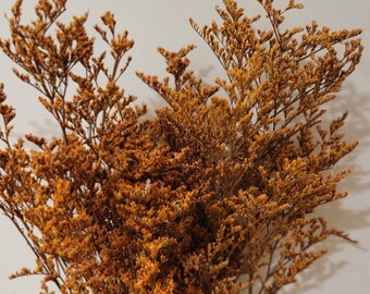 Dried Florals orange florals, bridal bouquets vase filler lover grass filler fall florals bride centerpieces fall home decor rust