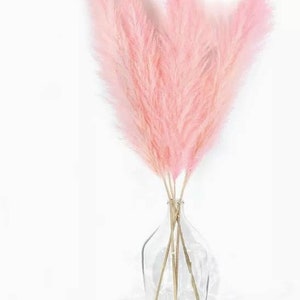 Blush pink pampass pampas pompas grass great for baby showers and boho events. Boho barbie pastel