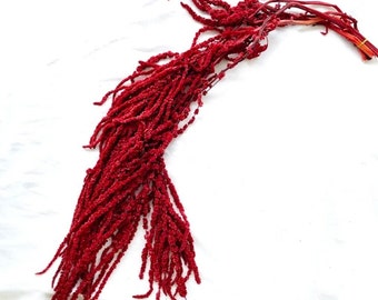 Red amaranthus hanging florals