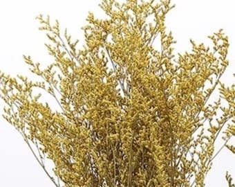 Dried Florals gold florals, bridal bouquets vase filler lover grass filler fall florals bride centerpieces fall home decor yellow gold