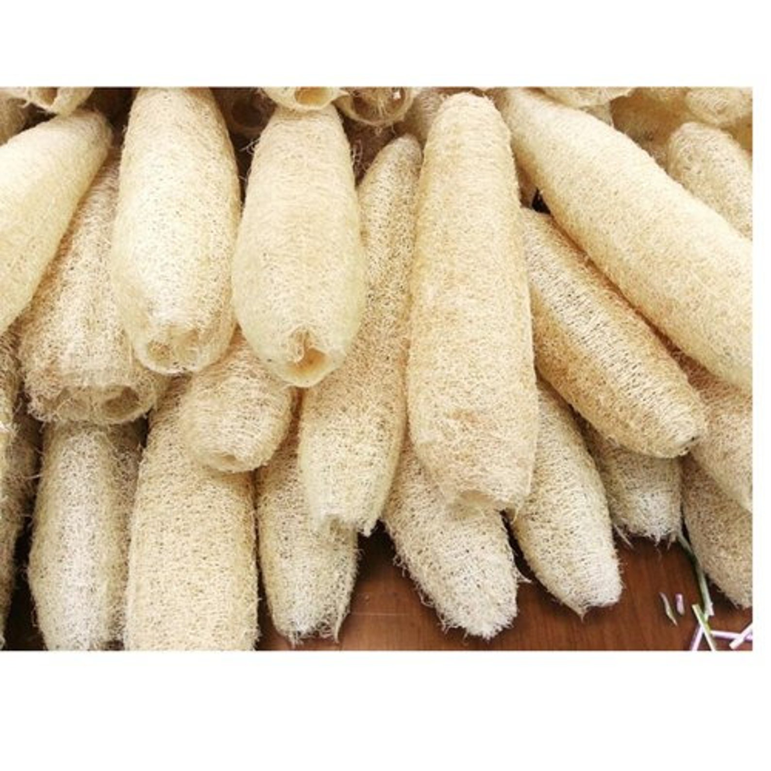 Natural Loofah Luffa/Zero Waste Sponge/Plastic Free/Vegan Etsy