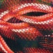 Exotic Snake Print Double-Sided Solid Scarf (Pack of 6) main image 0