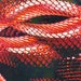 Exotic Snake Print Double-Sided Solid Scarf (Pack of 6) main image 1