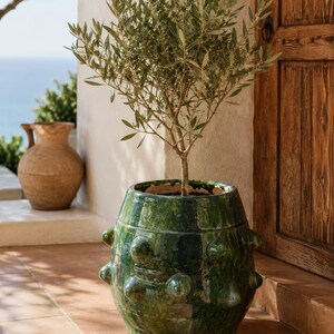 Green pot Planter, tamegroute Plant Pot, Textured Glazed Vase, Olive Tree Planter, Indoor Outdoor Home Decor