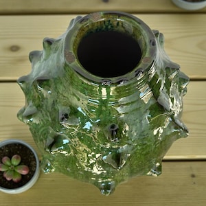 緑の花瓶に入ったタメグロート