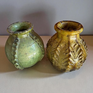 Cactuse vases of tamegroute