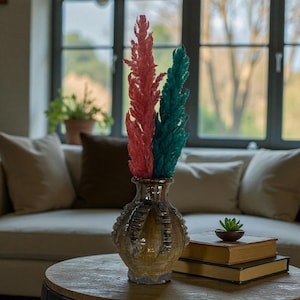 Cactuse vases of tamegroute
