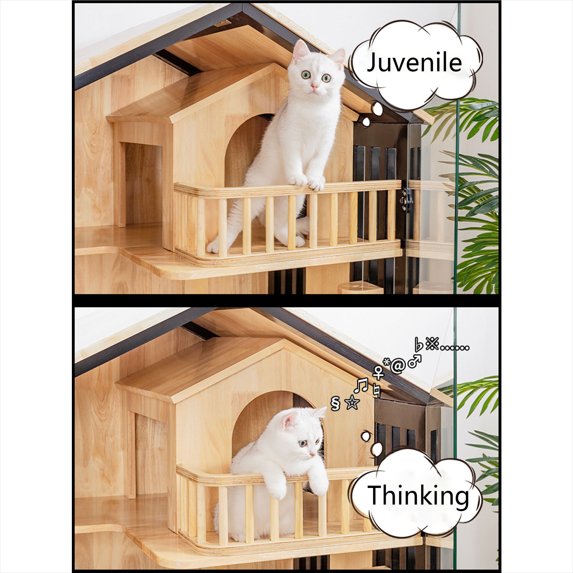 Modern Wooden Cat House Luxury Condo for Indoor with Acrylic Etsy