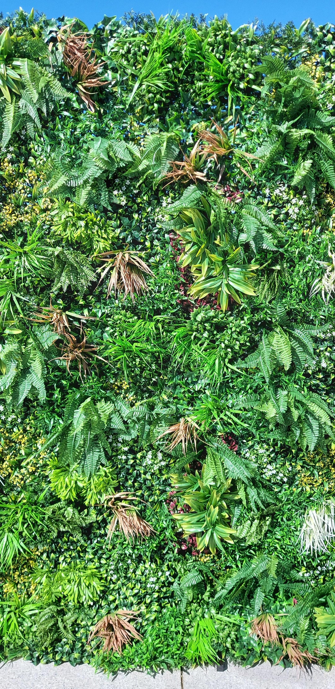 Botanical Backdrop Botanical Wall Foliage Wall, Flower Panel, Wedding Backdrop, Foliage ...